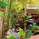 không gian sân vườn đầy nắng mai tại nhà hàng chay phương mai tân định quận 1 tphcm sài gòn