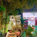 không gian sân vườn với nhiều cây xanh tại nhà hàng chay phương mai tân định quận 1 tphcm sài gòn