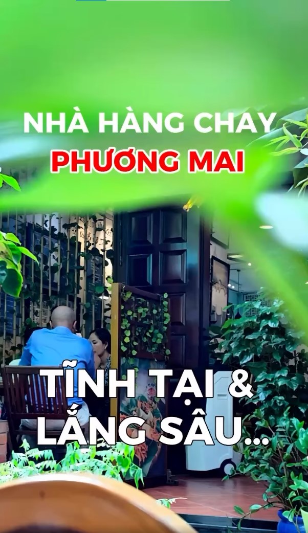 không gian rộng thoáng, thiết kế mộc và xanh, cùng dòng khách thưởng thức món chay trong bầu không khí nhẹ nhàng và thân thiện.