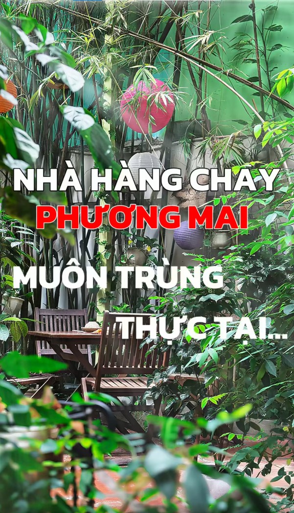 các món chay tinh tế và không gian tổng quan tại Nhà hàng Phương Mai ở sài gòn quận 1